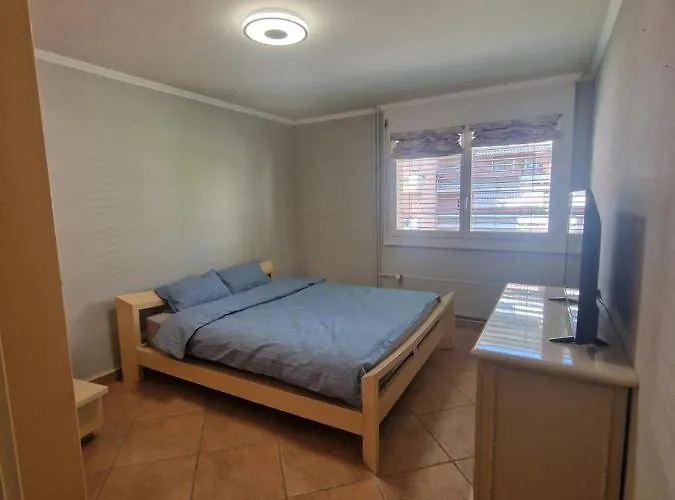 Apartment Grand 4-8 Personnes *